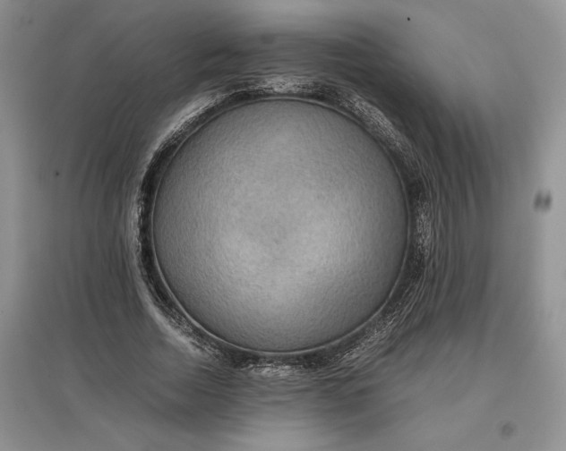 X0000097600730200803141916
