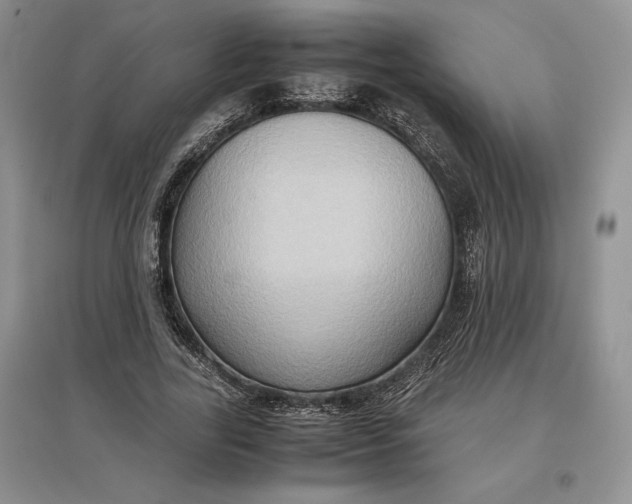 X0000097600731200803141916