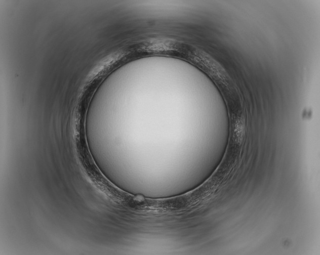 X0000097600732200803141916