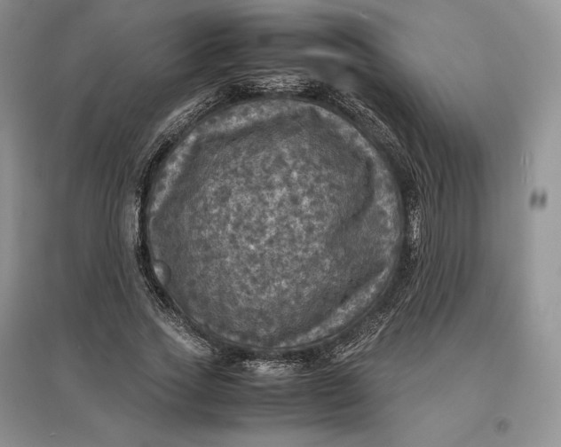 X0000097600733200803141916