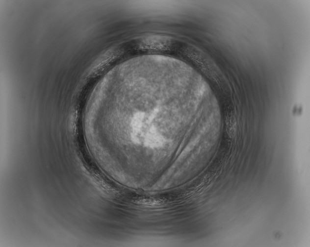 X0000097600735200803141916