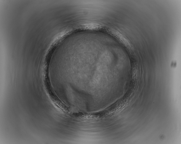 X0000097600736200803141916