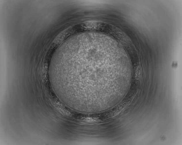 X0000097600737200803141916