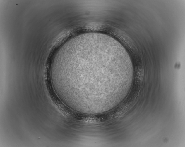 X0000097600738200803141916