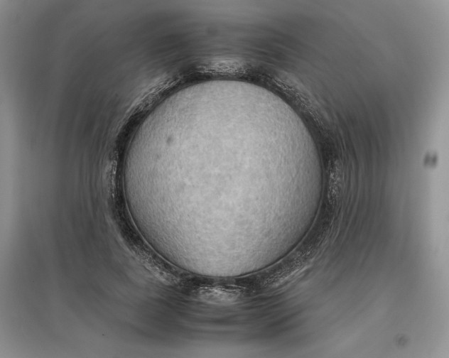 X0000097600739200803141916