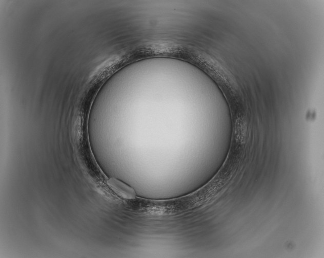 X0000097600740200803141916
