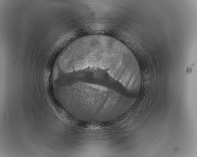 X0000097600742200803141916