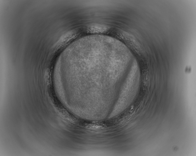 X0000097600743200803141916