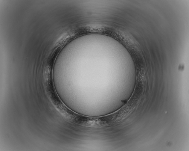 X0000097600744200803141916