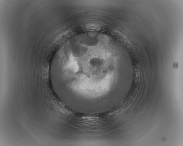 X0000097600745200803141916