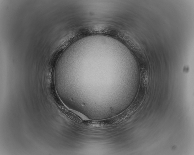X0000097600746200803141916