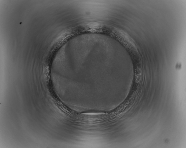 X0000097600748200803141916