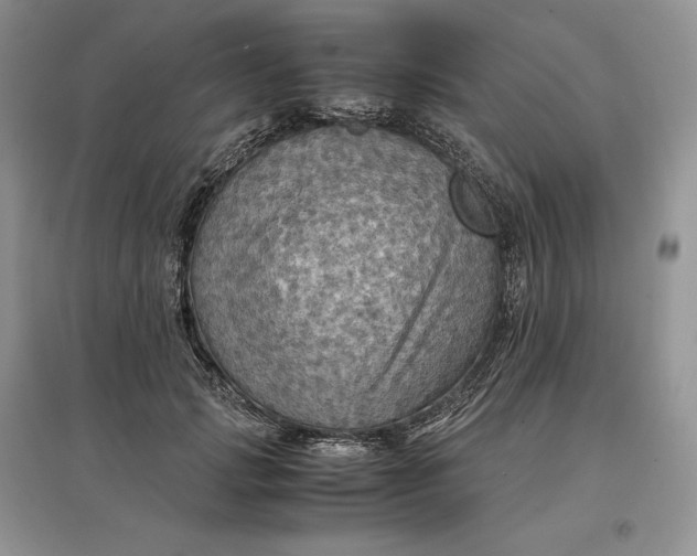 X0000097600749200803141916