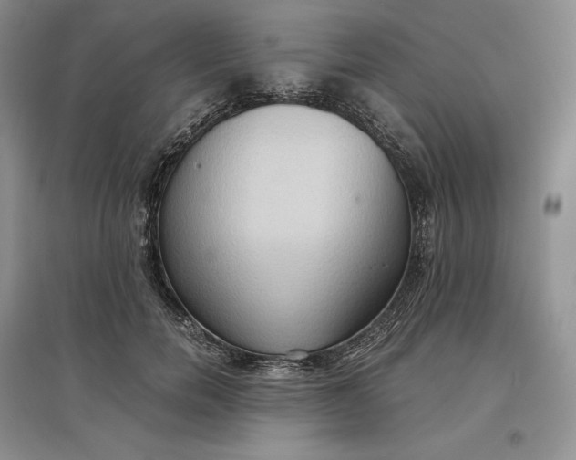 X0000097600750200803141916