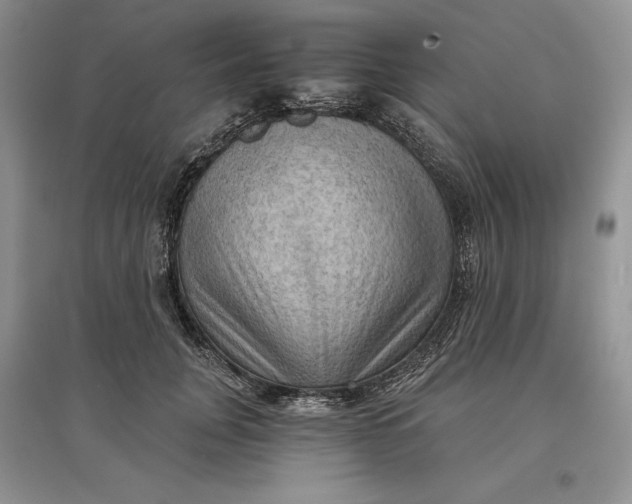 X0000097600751200803141916