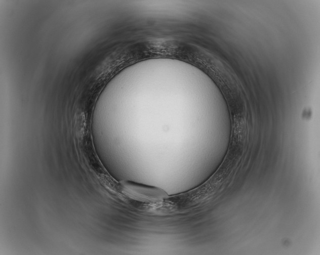 X0000097600752200803141916
