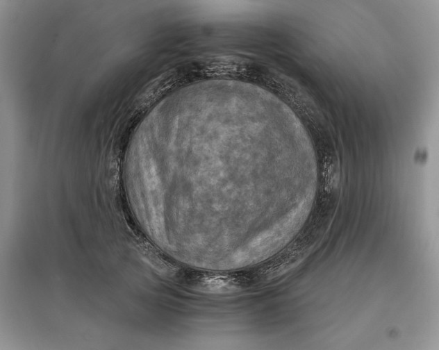X0000097600753200803141916