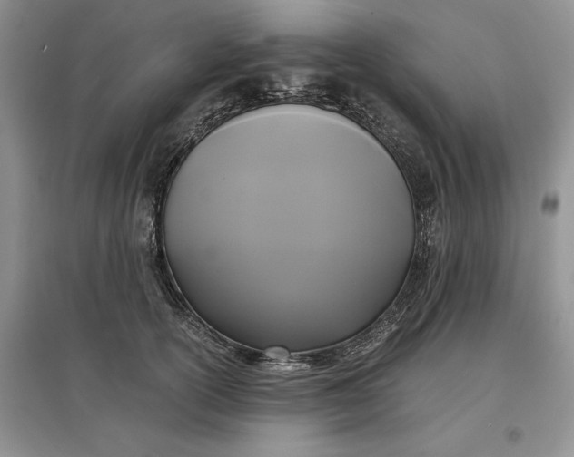 X0000097600754200803141916