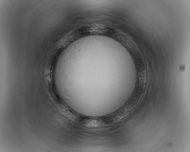 X0000097600755200803141916