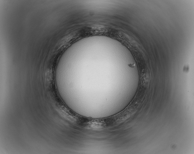 X0000097600756200803141916