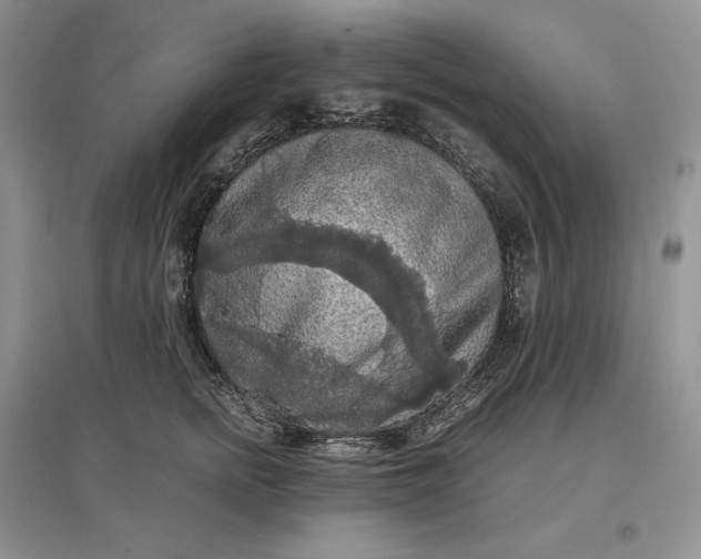 X0000097600758200803141916