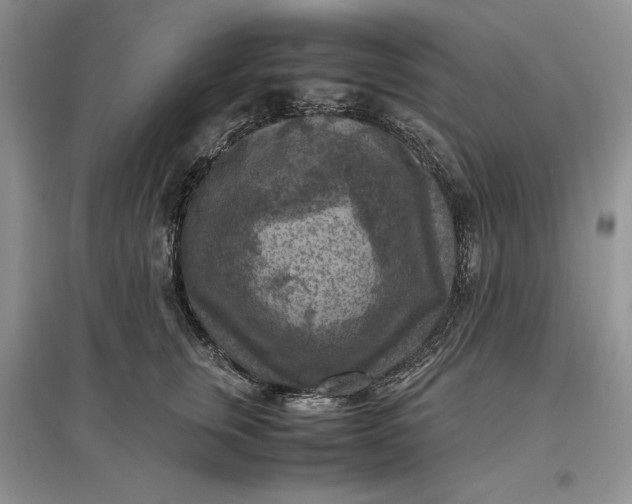 X0000097600759200803141916