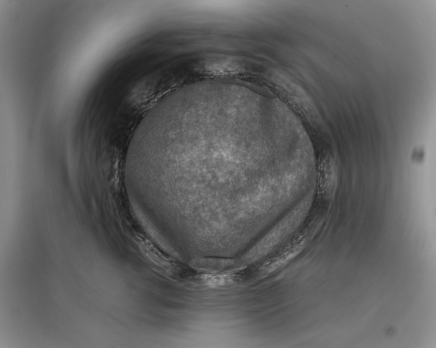 X0000097600762200803141916