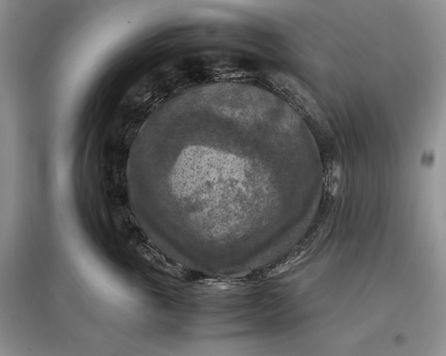 X0000097600763200803141916