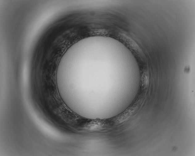 X0000097600764200803141916