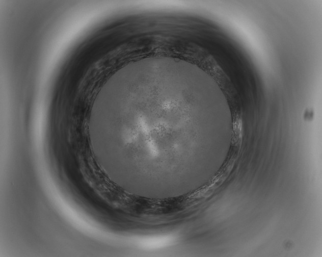 X0000097600765200803141916