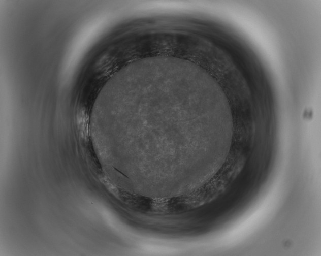 X0000097600766200803141916