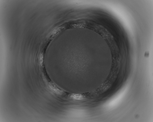 X0000097600767200803141916
