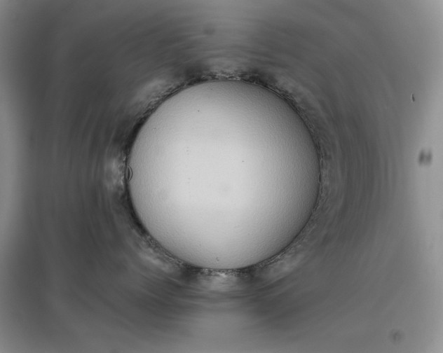 X0000097600768200803141916