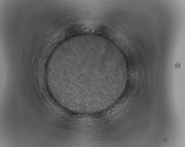 X0000097600769200803141916