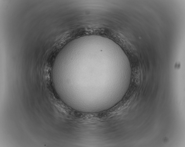 X0000097600770200803141916