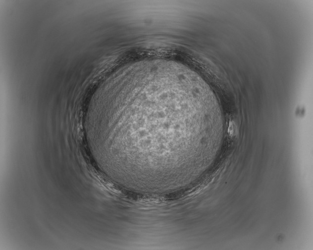 X0000097600771200803141916