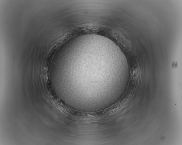 X0000097600772200803141916