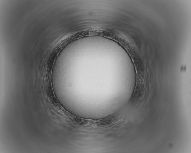 X0000097600773200803141916