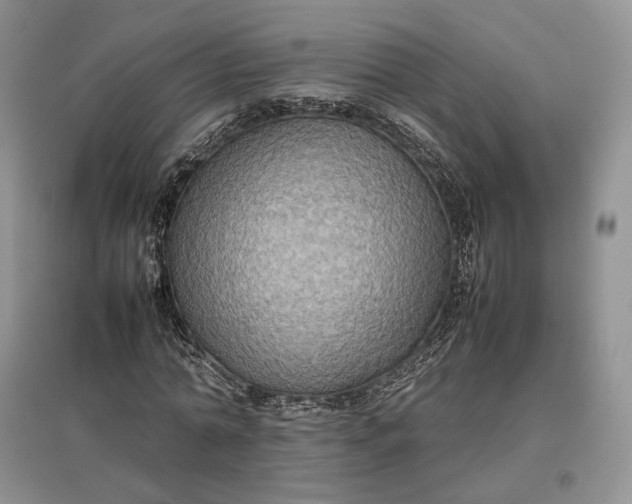 X0000097600774200803141916