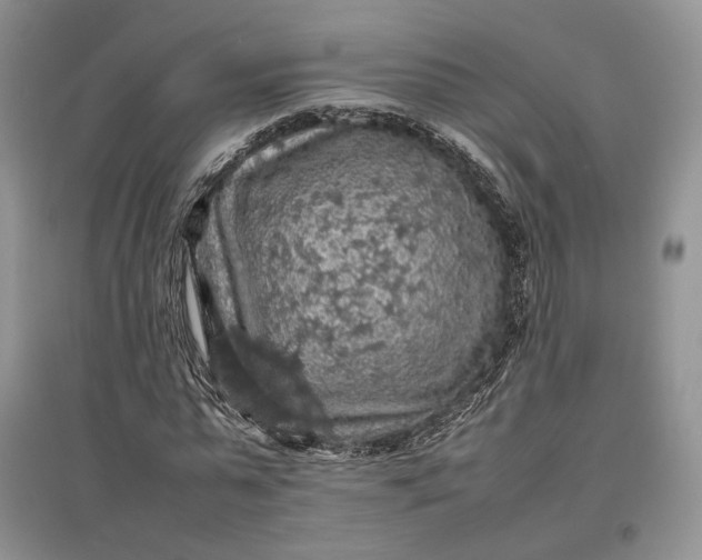 X0000097600775200803141916