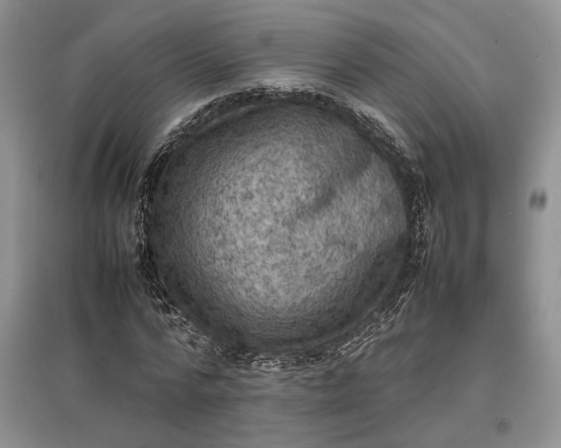 X0000097600776200803141916