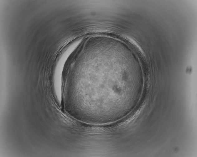 X0000097600777200803141916