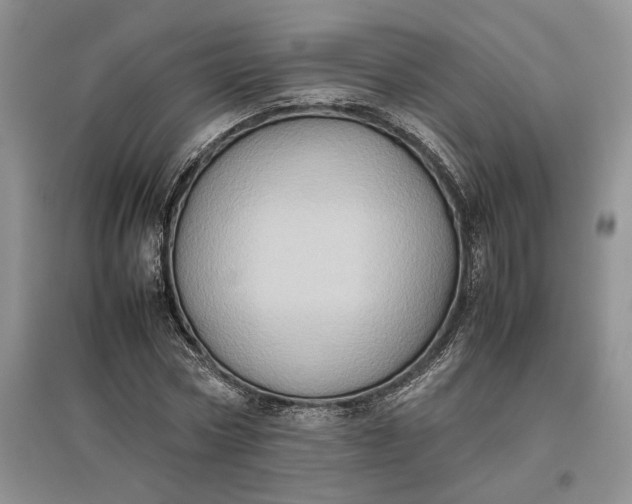 X0000097600778200803141916