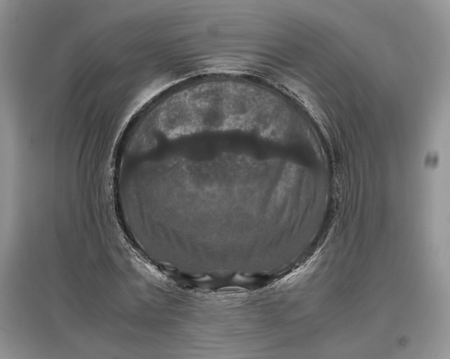 X0000097600779200803141916