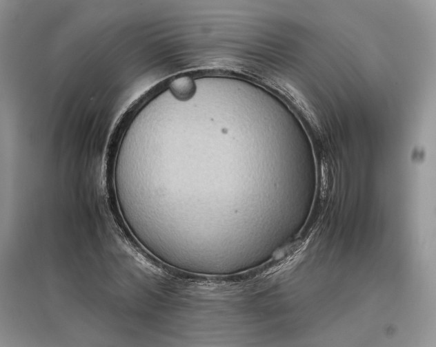 X0000097600780200803141916