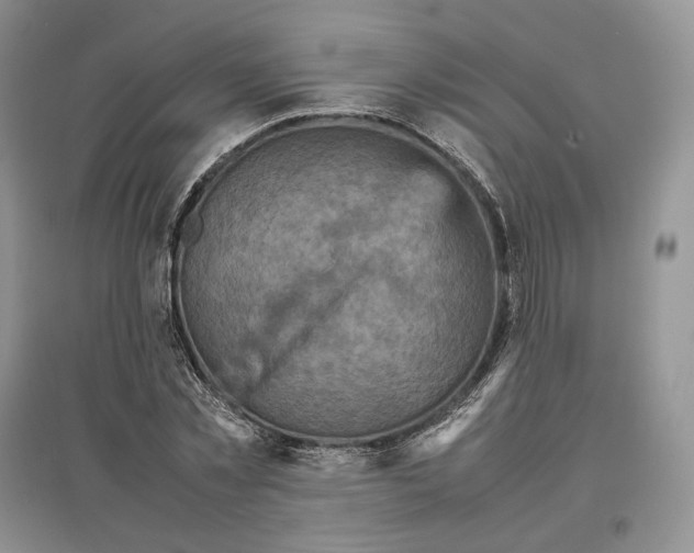 X0000097600781200803141916