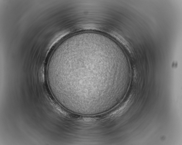 X0000097600782200803141916
