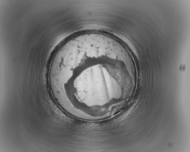 X0000097600783200803141916