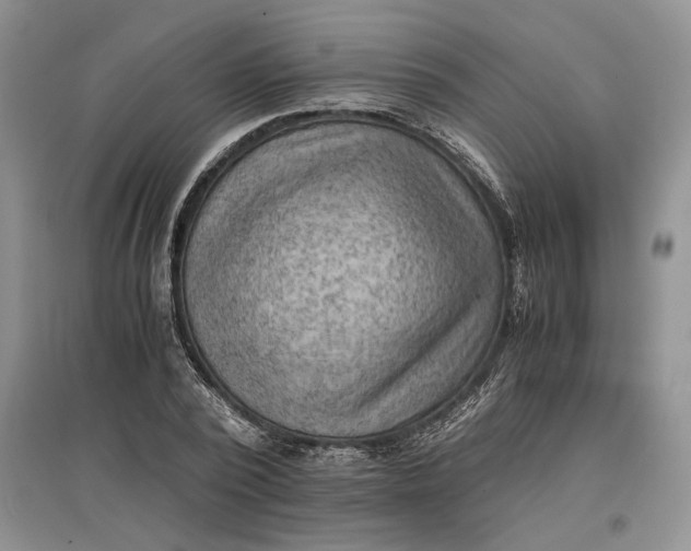 X0000097600784200803141916