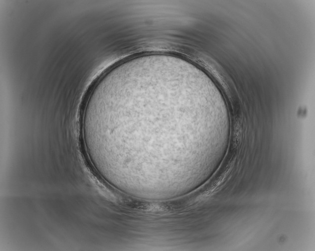 X0000097600787200803141916